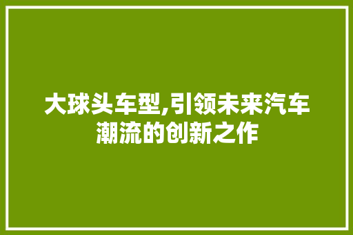 大球头车型,引领未来汽车潮流的创新之作