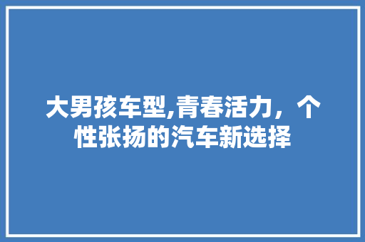 大男孩车型,青春活力，个性张扬的汽车新选择