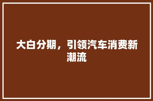 大白分期，引领汽车消费新潮流