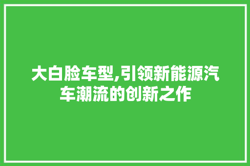 大白脸车型,引领新能源汽车潮流的创新之作