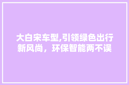 大白宋车型,引领绿色出行新风尚，环保智能两不误