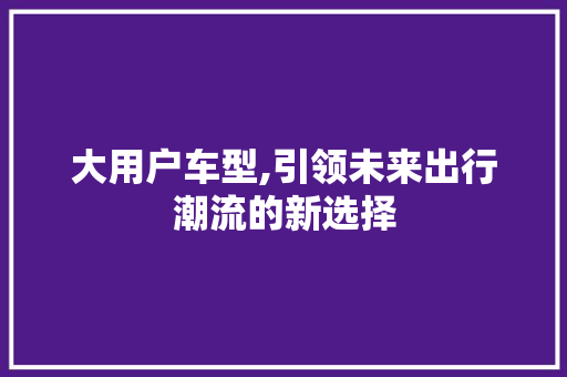 大用户车型,引领未来出行潮流的新选择