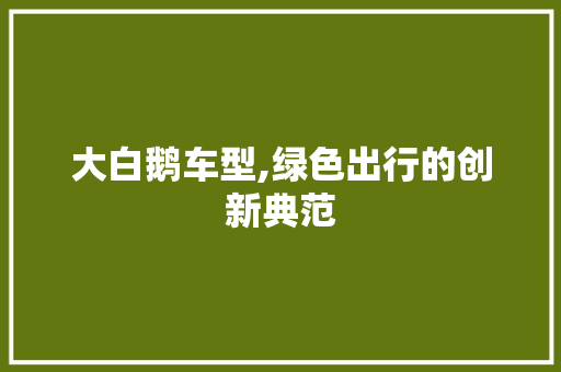 大白鹅车型,绿色出行的创新典范