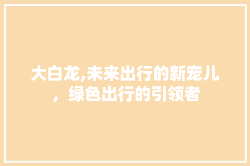大白龙,未来出行的新宠儿，绿色出行的引领者