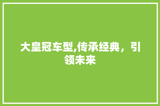大皇冠车型,传承经典，引领未来