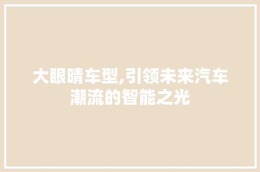 大眼晴车型,引领未来汽车潮流的智能之光