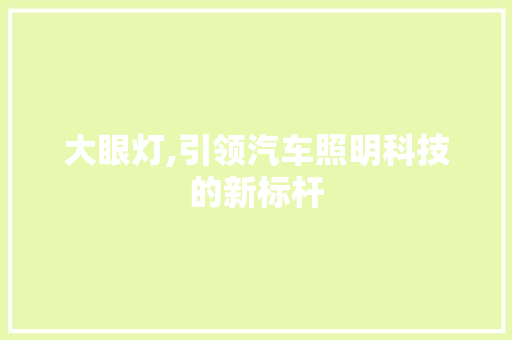 大眼灯,引领汽车照明科技的新标杆