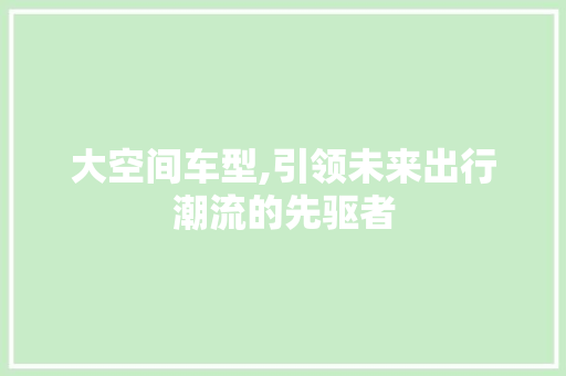 大空间车型,引领未来出行潮流的先驱者