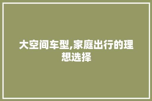 大空间车型,家庭出行的理想选择
