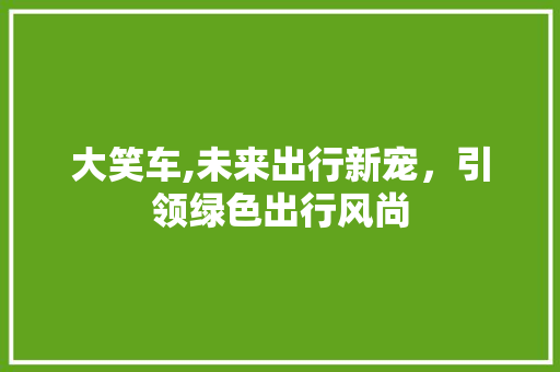大笑车,未来出行新宠，引领绿色出行风尚