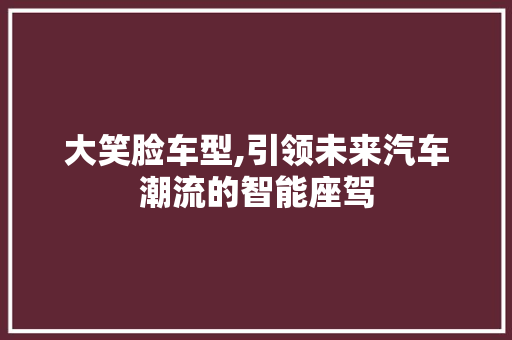 大笑脸车型,引领未来汽车潮流的智能座驾