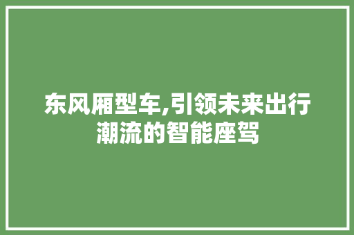 东风厢型车,引领未来出行潮流的智能座驾 车灯配件