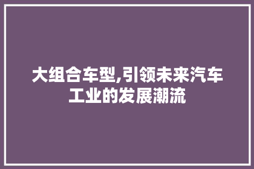 大组合车型,引领未来汽车工业的发展潮流