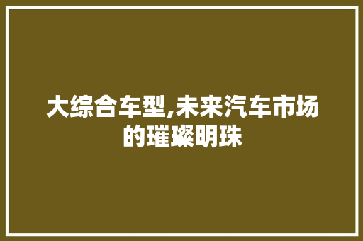 大综合车型,未来汽车市场的璀璨明珠
