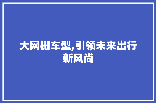 大网栅车型,引领未来出行新风尚