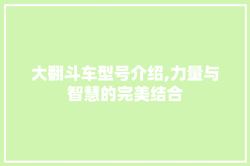 大翻斗车型号介绍,力量与智慧的完美结合