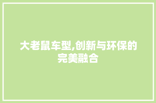 大老鼠车型,创新与环保的完美融合