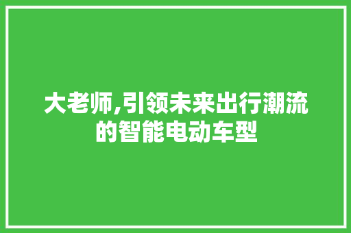 大老师,引领未来出行潮流的智能电动车型