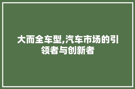 大而全车型,汽车市场的引领者与创新者