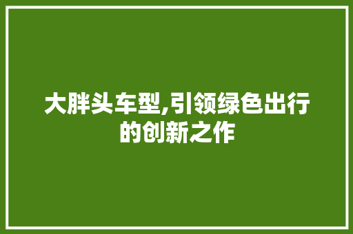 大胖头车型,引领绿色出行的创新之作