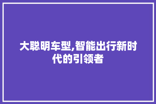 大聪明车型,智能出行新时代的引领者