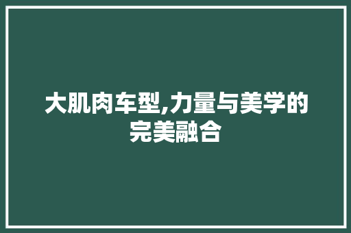 大肌肉车型,力量与美学的完美融合