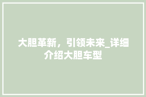 大胆革新，引领未来_详细介绍大胆车型