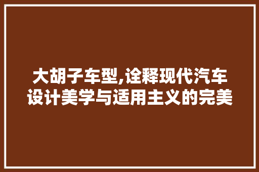 大胡子车型,诠释现代汽车设计美学与适用主义的完美结合