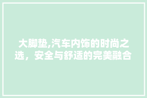 大脚垫,汽车内饰的时尚之选，安全与舒适的完美融合