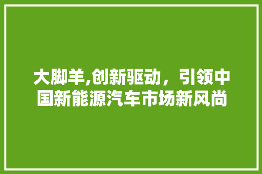大脚羊,创新驱动，引领中国新能源汽车市场新风尚