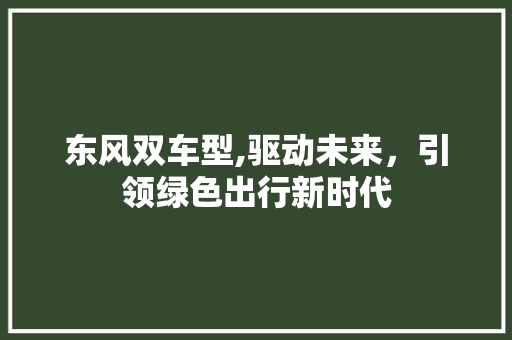 东风双车型,驱动未来，引领绿色出行新时代 汽车配件