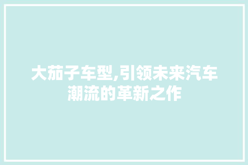 大茄子车型,引领未来汽车潮流的革新之作
