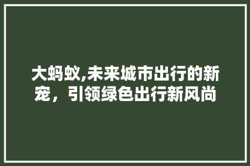 大蚂蚁,未来城市出行的新宠，引领绿色出行新风尚