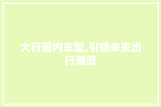 大行国内车型,引领未来出行潮流