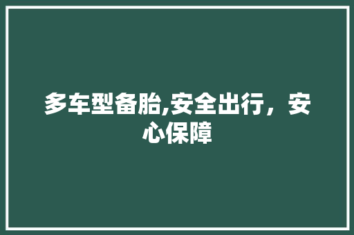 多车型备胎,安全出行，安心保障