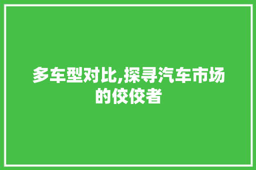 多车型对比,探寻汽车市场的佼佼者