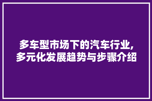 多车型市场下的汽车行业,多元化发展趋势与步骤介绍