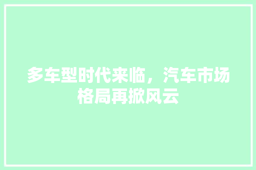 多车型时代来临，汽车市场格局再掀风云