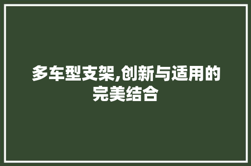 多车型支架,创新与适用的完美结合