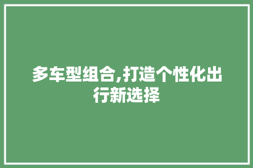 多车型组合,打造个性化出行新选择