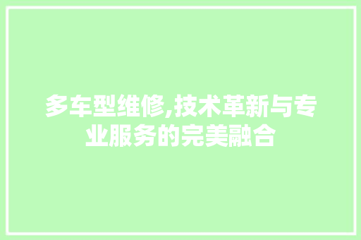 多车型维修,技术革新与专业服务的完美融合
