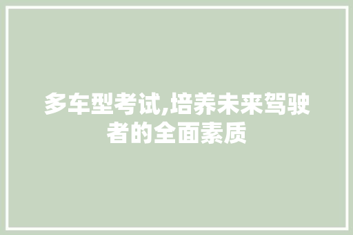 多车型考试,培养未来驾驶者的全面素质