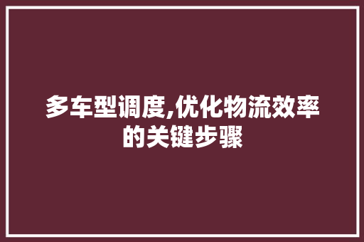 多车型调度,优化物流效率的关键步骤