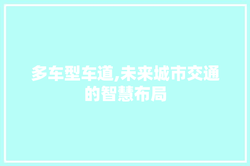 多车型车道,未来城市交通的智慧布局