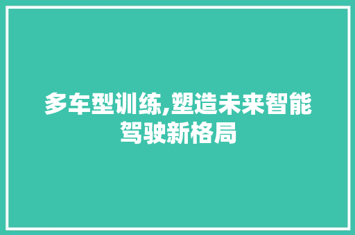 多车型训练,塑造未来智能驾驶新格局