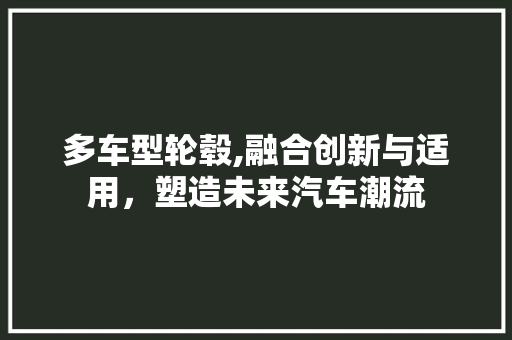 多车型轮毂,融合创新与适用，塑造未来汽车潮流
