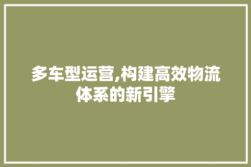 多车型运营,构建高效物流体系的新引擎
