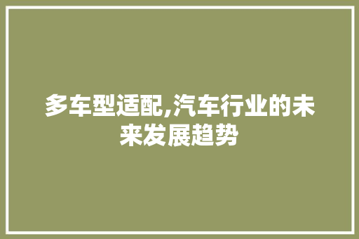 多车型适配,汽车行业的未来发展趋势