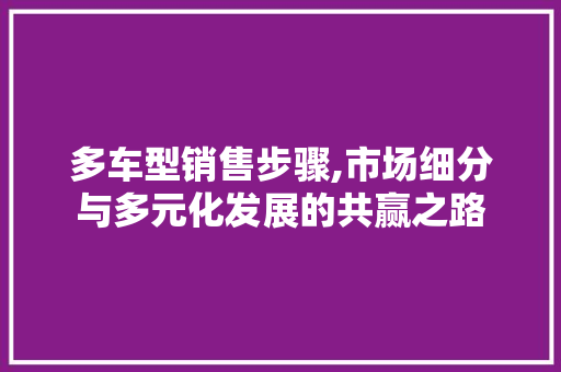 多车型销售步骤,市场细分与多元化发展的共赢之路