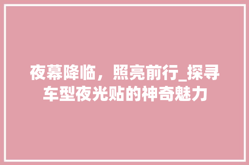 夜幕降临，照亮前行_探寻车型夜光贴的神奇魅力